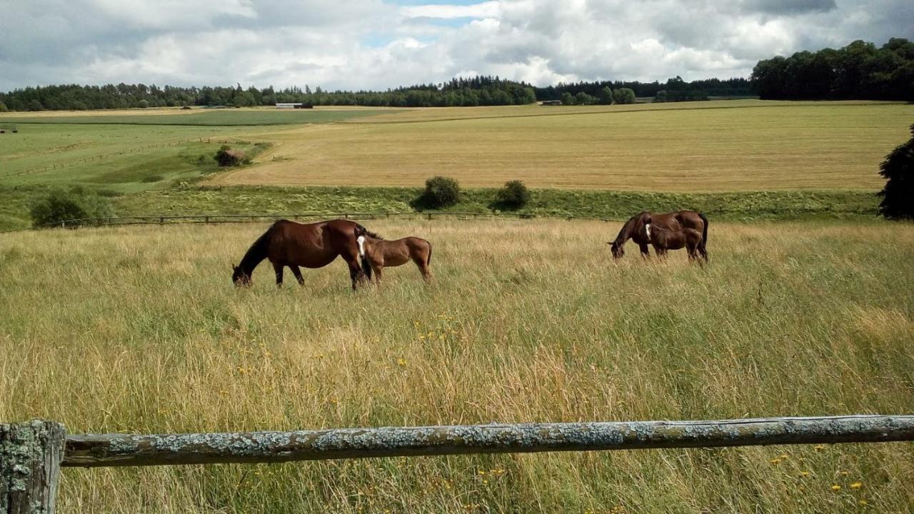 Schoene Aussicht Vöhl Exteriör bild